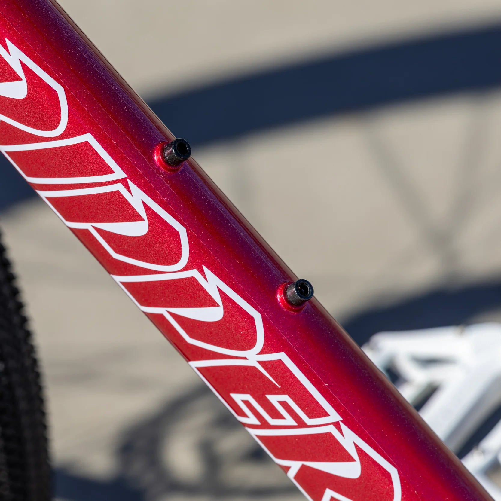 SE Bikes Fast Ripper 29" Complete Bike - Sangria Red