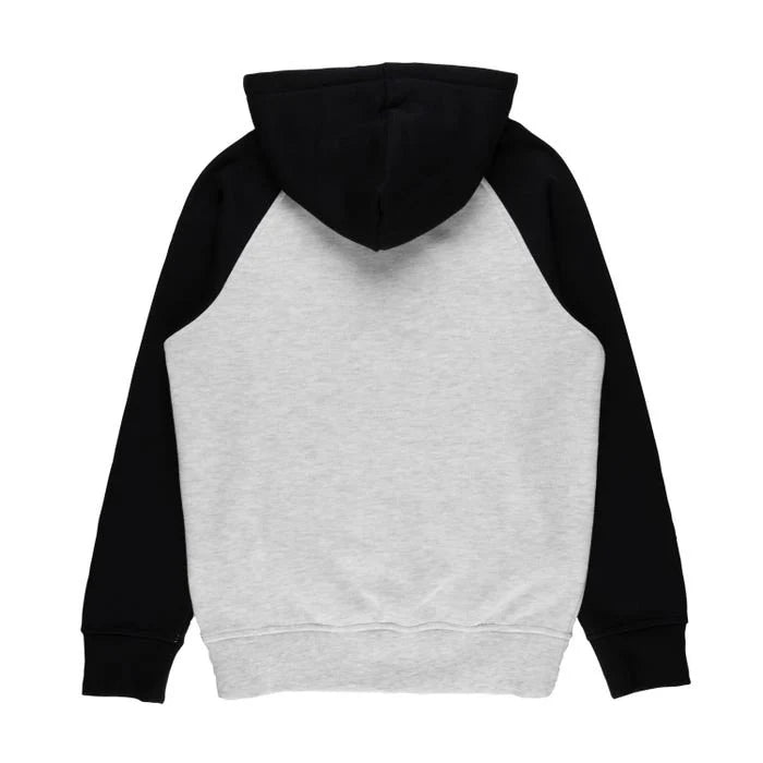 Hoodie met slangenprint van Independent Youth - Zwart/Athletic Heather